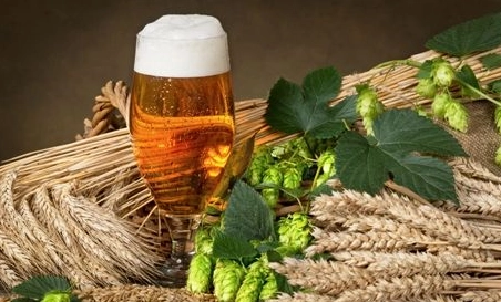 精釀啤酒中，如何選擇恰當(dāng)?shù)慕湻椒ǎ?> </a>
    </dt> 
    <dd> 
     <h4><a href=