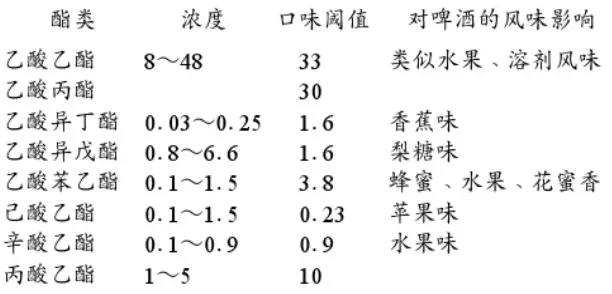 精釀啤酒設(shè)備,啤酒廠設(shè)備,開(kāi)辦啤酒廠,發(fā)酵,錐形罐